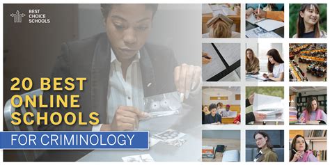 public school offering criminology|Object Moved .